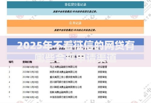 2025年不看征信的网贷有哪些合规申请渠道