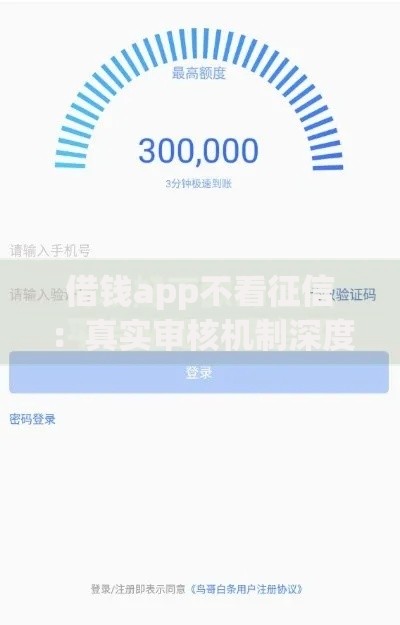 借钱app不看征信：真实审核机制深度揭秘