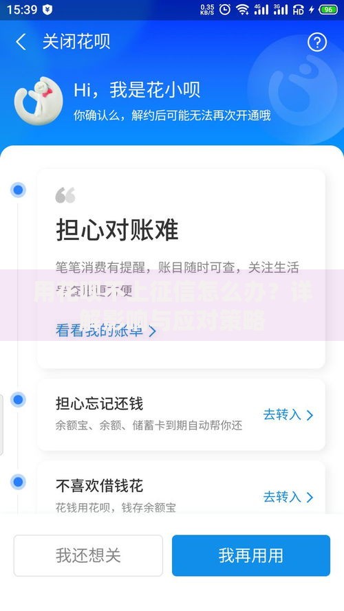 用花呗不上征信怎么办？详解影响与应对策略
