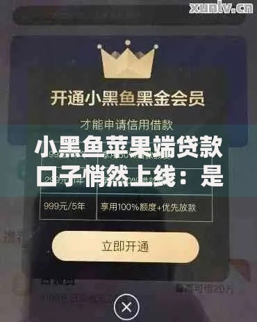 小黑鱼苹果端贷款口子悄然上线：是否值得用户关注？