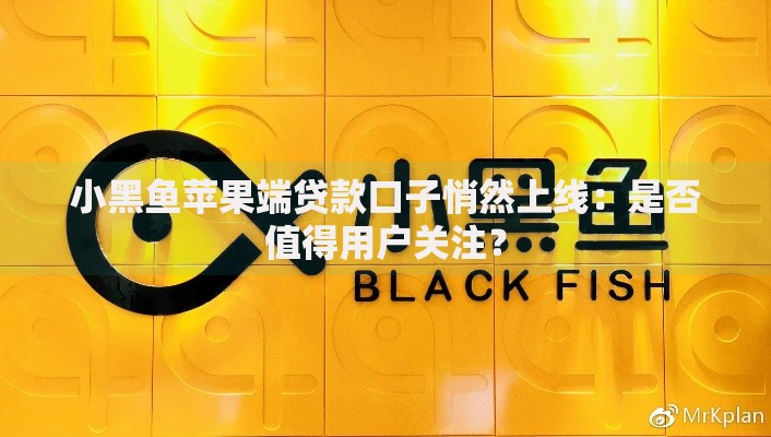 小黑鱼苹果端贷款口子悄然上线：是否值得用户关注？