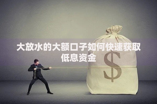 大放水的大额口子如何快速获取低息资金