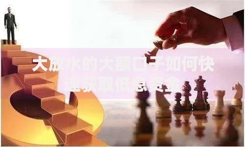 大放水的大额口子如何快速获取低息资金