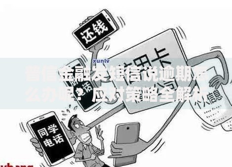 普信金融发短信说逾期怎么办呢？应对策略全解析
