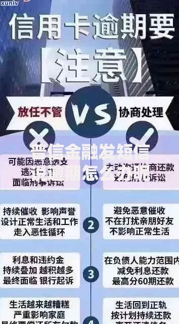 普信金融发短信说逾期怎么办呢？应对策略全解析