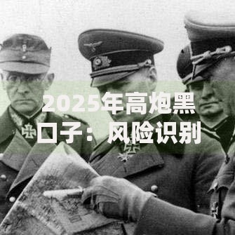 2025年高炮黑口子：风险识别与应对策略深度解析