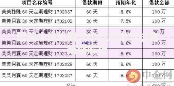 国美小贷逾期六个月后果与协商策略解析