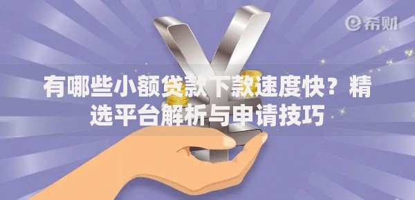 有哪些小额贷款下款速度快？精选平台解析与申请技巧