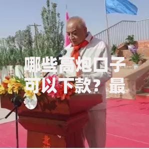 哪些高炮口子可以下款？最新审核渠道深度解析