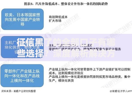 征信黑了的全部口子有哪些选择？深度解析解决方案