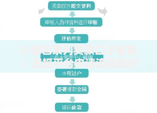小笼包系列贷款口子客服：正规平台申请流程解析