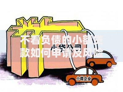 不看负债的小额贷款如何申请及风险解析
