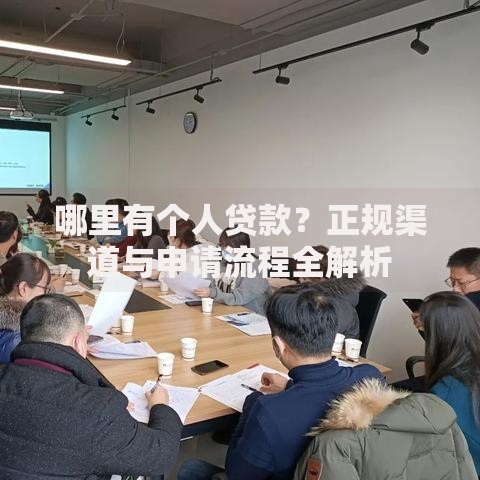 哪里有个人贷款？正规渠道与申请流程全解析