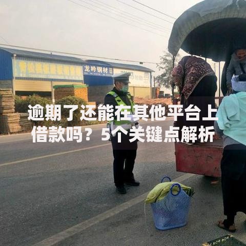 逾期了还能在其他平台上借款吗？5个关键点解析