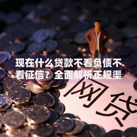 现在什么贷款不看负债不看征信？全面解析正规渠道与风险