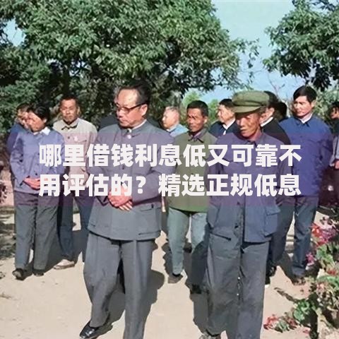 哪里借钱利息低又可靠不用评估的？精选正规低息渠道推荐