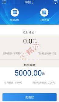 一品贷不上征信能下款吗？深度解析贷款审核机制与风险