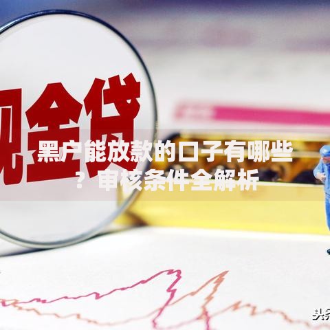 黑户能放款的口子有哪些？审核条件全解析