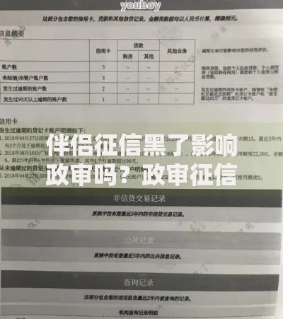 伴侣征信黑了影响政审吗？政审征信关联要点解析