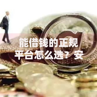 能借钱的正规平台怎么选？安全借贷全流程解析