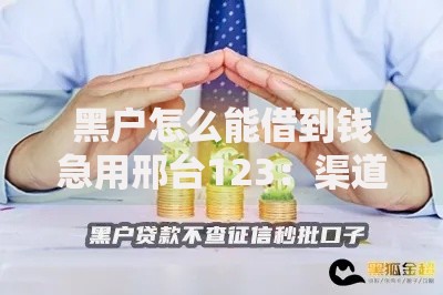 黑户怎么能借到钱急用邢台123：渠道分析与风险规避指南