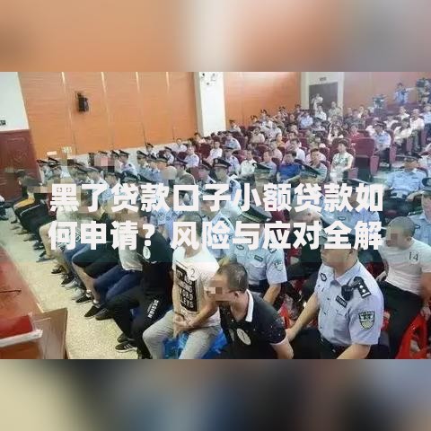 黑了贷款口子小额贷款如何申请？风险与应对全解析