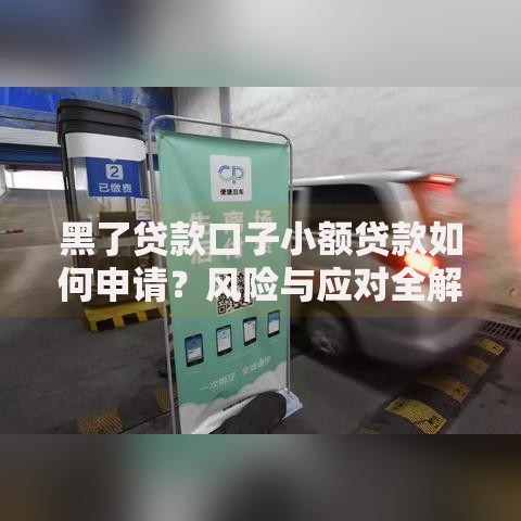 黑了贷款口子小额贷款如何申请？风险与应对全解析