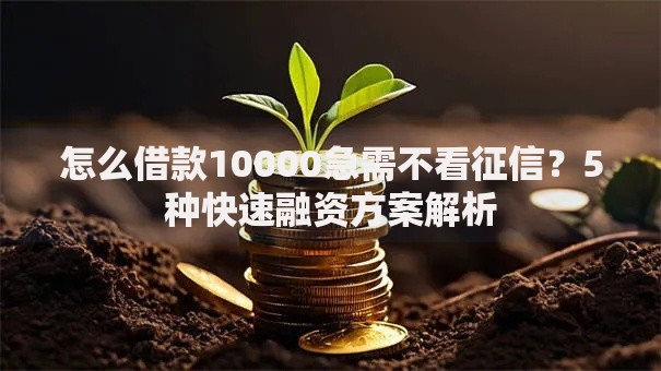 怎么借款10000急需不看征信？5种快速融资方案解析