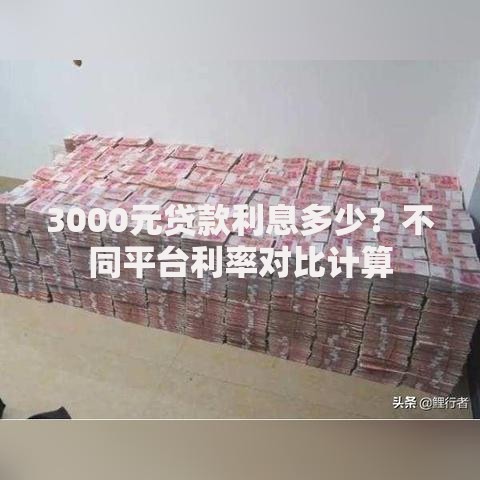 3000元贷款利息多少？不同平台利率对比计算
