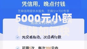 5000元小额借钱如何快速申请？低息渠道与注意事项解析