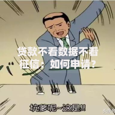 贷款不看数据不看征信：如何申请？适合哪些人？