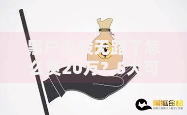 黑户走投无路了怎么贷20万？5大可行渠道与避坑指南