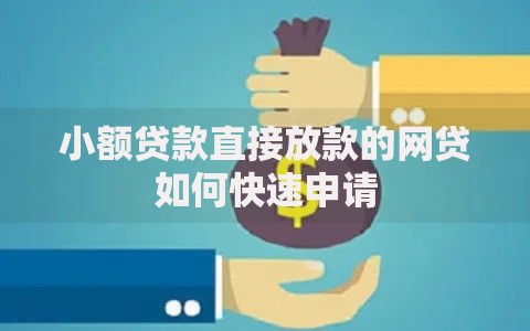 小额贷款直接放款的网贷如何快速申请