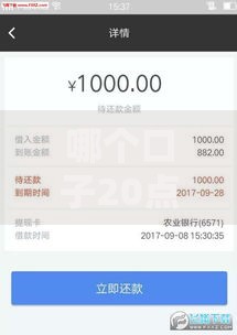 哪个口子20点后还下款?这5个平台夜间审核快、到账稳 哪个口子20点后还下款?这5个平台夜间审核快、到账稳