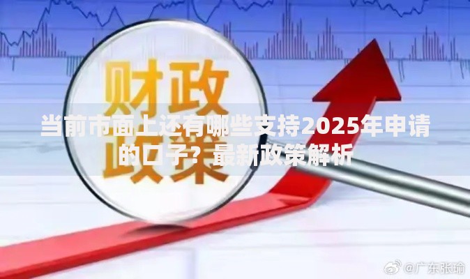 当前市面上还有哪些支持2025年申请的口子？最新政策解析