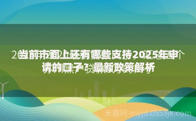 当前市面上还有哪些支持2025年申请的口子？最新政策解析