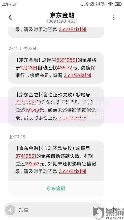 京东金条逾期多久可以起诉我？逾期风险全解析