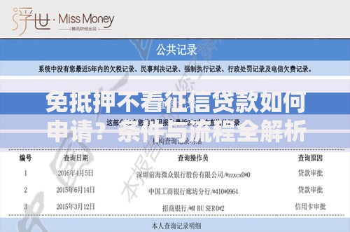 免抵押不看征信贷款如何申请？条件与流程全解析