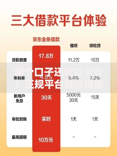 哪个口子还可以贷款？正规平台筛选指南