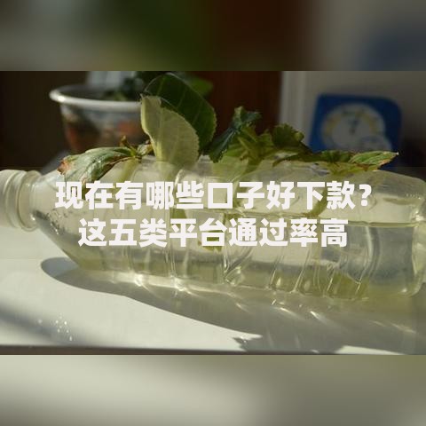 现在有哪些口子好下款？这五类平台通过率高