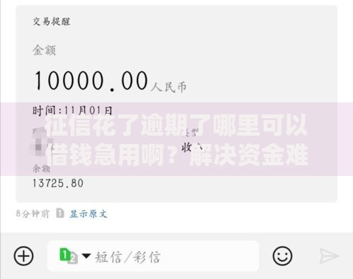 征信花了逾期了哪里可以借钱急用啊？解决资金难题的五大渠道解析