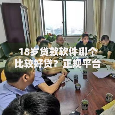 18岁贷款软件哪个比较好贷？正规平台选择指南