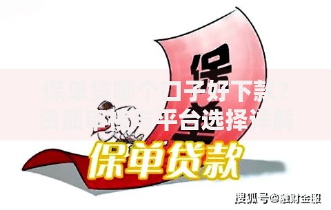 保单贷哪个口子好下款？资质审核与平台选择详解
