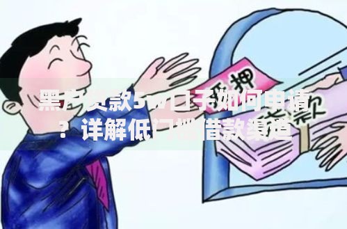黑户贷款5w口子如何申请？详解低门槛借款渠道