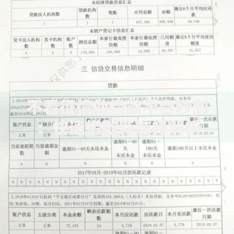 不看征信的借款平台秒到：快速借款新选择解析