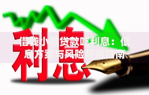 借钱小额贷款吃利息：低息方案与风险规避指南