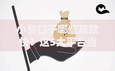 小贷口子哪些放款快？这5大平台当天到账