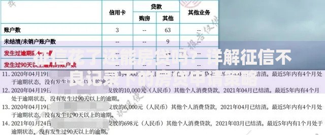 征信花了还能房贷吗？详解征信不良记录下的房贷申请策略