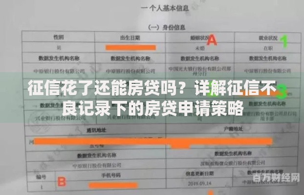 征信花了还能房贷吗？详解征信不良记录下的房贷申请策略