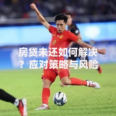 房贷未还如何解决？应对策略与风险解析
